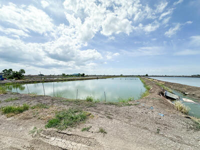 ขาย - ที่ดินเปล่า สุพรรณบุรี – 6 ไร่ 3 งาน 72 ตร.ว ติดถนนสาธารณะประโยชน์ ห่างถนนใหญ่ประมาณ 1.2 กม., สุพรรณบุรี