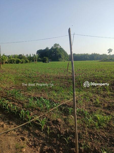 ขาย - บ้านเดี่ยวหาดทนง อุทัยธานี, อุทัยธานี