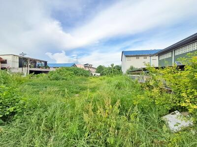 ขาย - ที่ดินนาป่า ชลบุรี, ชลบุรี