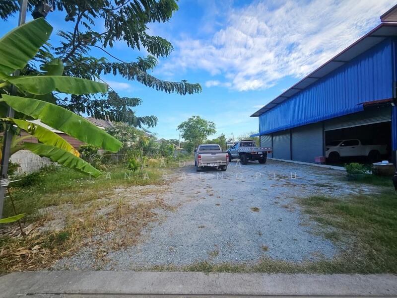 ขายบ้านและโกดังสภาพใหม่บนเนื้อที่ 200 ตารางวาโกดังมีเนื้อที่ 200 ตารางเมตรบ้าน 2 ชั้น, ชลบุรี, หนองหงษ์, พานทอง, ชลบุรี, 200 ตร.ม., บ้านเดี่ยว ขาย, โดย Ladapa Tanasaengplu, 60042452 - DDproperty.com