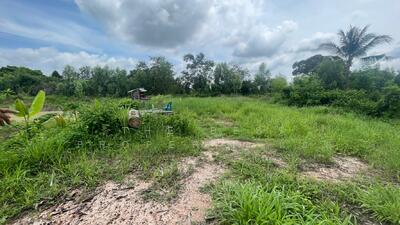 ขาย - ที่ดินนายม อำนาจเจริญ, อำนาจเจริญ