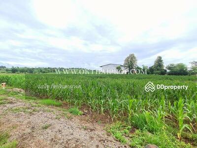 ขาย - ถนนหมายเลข 225 ต.กันจุ อ.บึงสามพัน จ.เพชรบูรณ์, เพชรบูรณ์