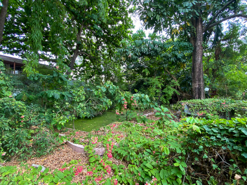 For Sale - สุขุมวิท 71 ปรีดีพนมยงค์ 42, Bangkok