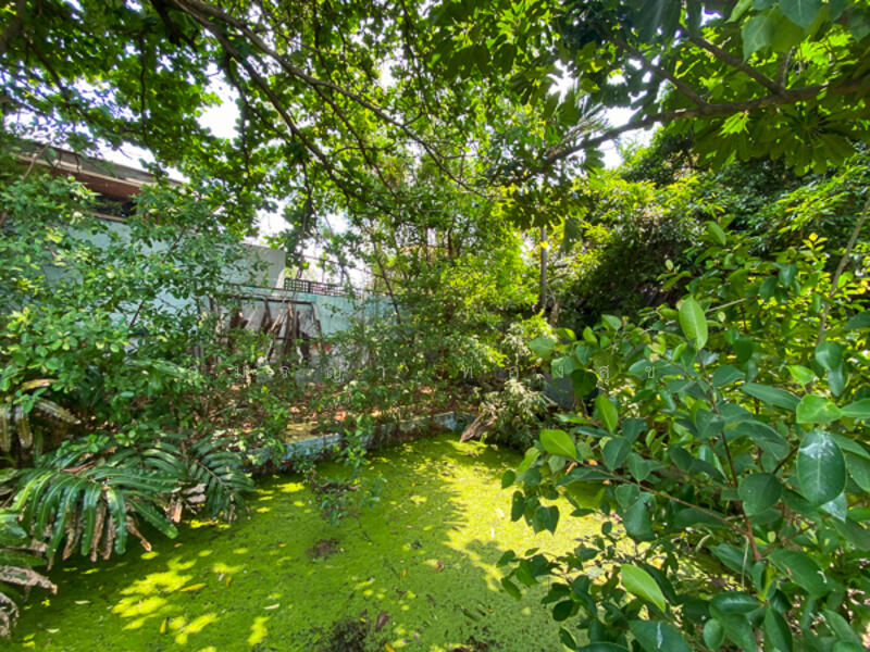 For Sale - สุขุมวิท 71 ปรีดีพนมยงค์ 42, Bangkok