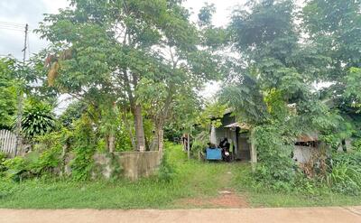 ขาย - ที่ดินนายม อำนาจเจริญ, อำนาจเจริญ