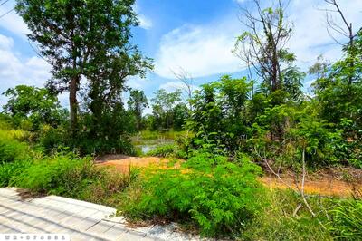 ขาย - WR-874331 ที่ดิน 76 ไร่ 174 ตร.ว. เมืองหนองบัวลำภู ใกล้สำนักงานเทศบาลเมืองหนองบัวลำภู, หนองบัวลำภู