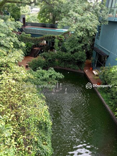 ขาย - จ.เชียงใหม่, เชียงใหม่