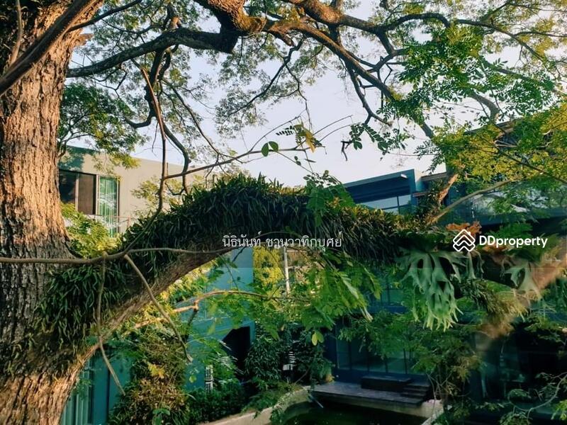 For Sale - Cayla private residence, Chiang Mai