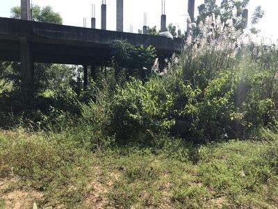 ขาย - ตำบล แหลมประดู่ อำเภอ บ้านโพธิ์ จังหวัด ฉะเชิงเทรา, ฉะเชิงเทรา