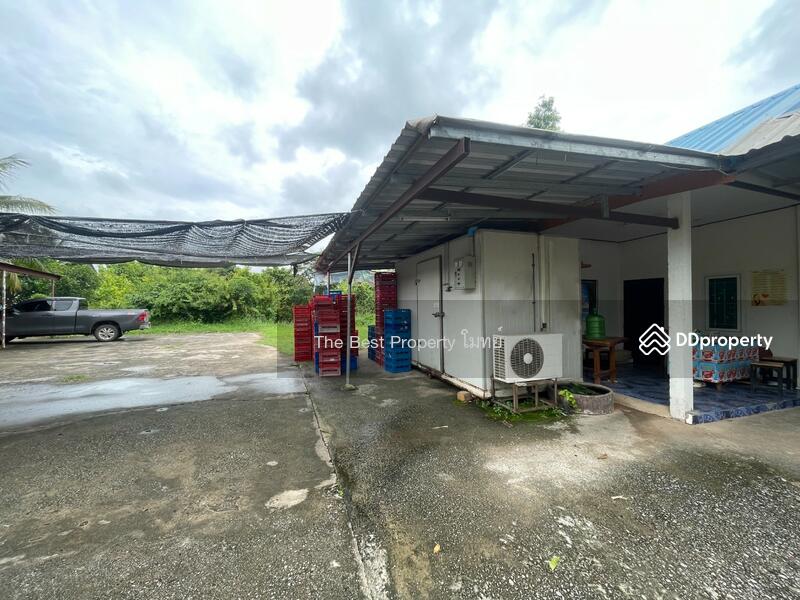 ขาย - บ้านเดี่ยวพร้อมที่ดินบ้านฝาง ขอนแก่น, ขอนแก่น