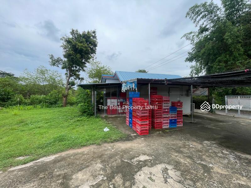ขาย - บ้านเดี่ยวพร้อมที่ดินบ้านฝาง ขอนแก่น, ขอนแก่น
