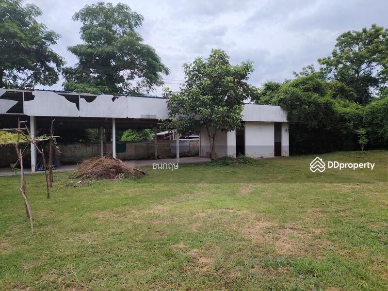 ขาย - ตำบล บ้านพริก อำเภอ บ้านนา จังหวัด นครนายก, นครนายก