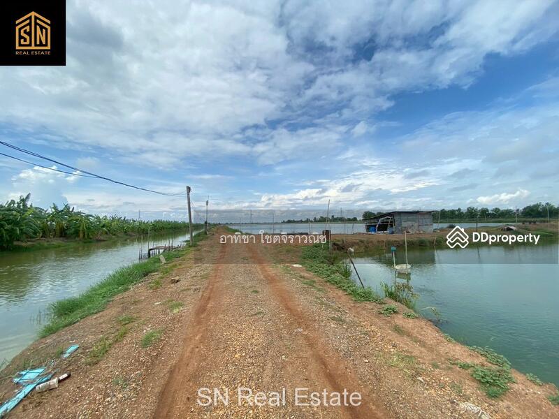 ขาย - ขายที่ดิน บ่อเลี้ยงปลา อ.บางน้ำเปรี้ยว 117 ไร่, ฉะเชิงเทรา