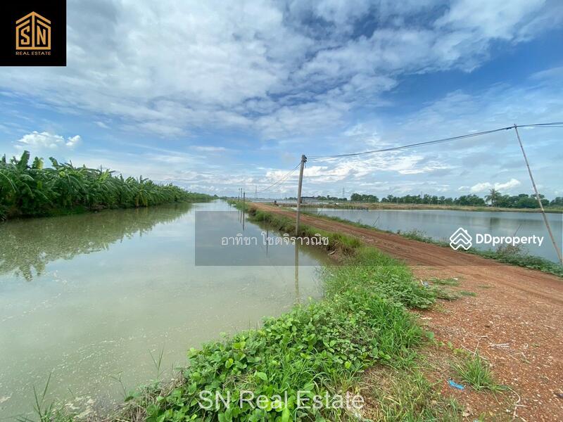 ขาย - ขายที่ดิน บ่อเลี้ยงปลา อ.บางน้ำเปรี้ยว 117 ไร่, ฉะเชิงเทรา