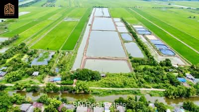 ขาย - ขายที่ดิน บ่อเลี้ยงปลา อ.บางน้ำเปรี้ยว 117 ไร่, ฉะเชิงเทรา