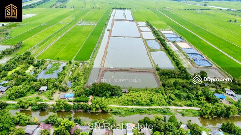 ขาย - ขายที่ดิน บ่อเลี้ยงปลา อ.บางน้ำเปรี้ยว 117 ไร่, ฉะเชิงเทรา