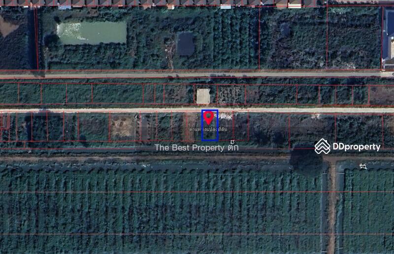 ขาย - ที่ดินคลองหลวง ปทุมธานี, ปทุมธานี
