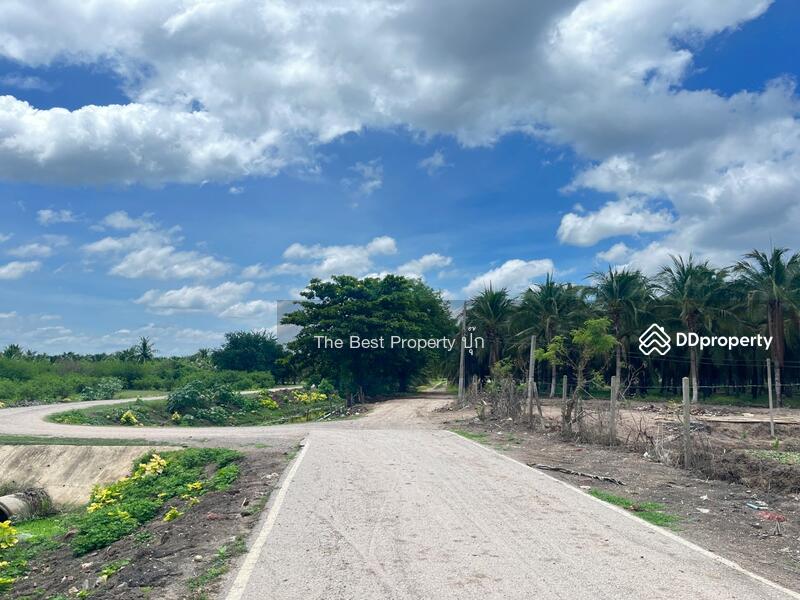 ขาย - บ้านเดี่ยวพร้อมที่ดินพงสวาย ราชบุรี, ราชบุรี