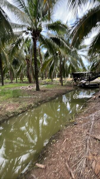 ขาย - บ้านเดี่ยวพร้อมที่ดินพงสวาย ราชบุรี, ราชบุรี