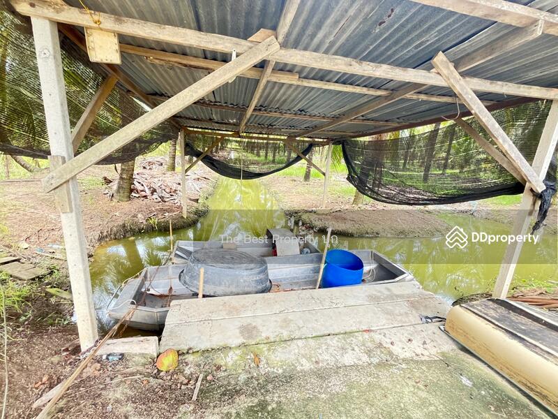 ขาย - บ้านเดี่ยวพร้อมที่ดินพงสวาย ราชบุรี, ราชบุรี