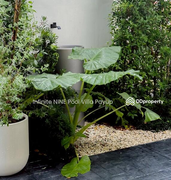 ขาย - Regent 9 (The Infinite Heights), เชียงใหม่