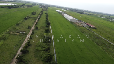 ขาย - ที่ดินแปลงเล็ก คลอง 16, ฉะเชิงเทรา