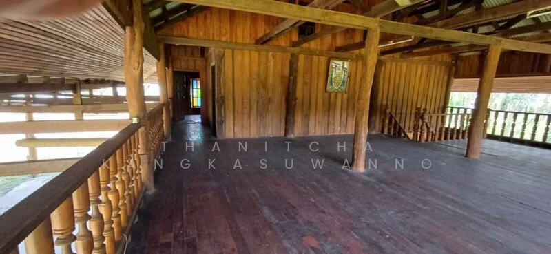 ขาย - ที่ดินพร้อมกิจการค้าไม้ กระบี่, กระบี่