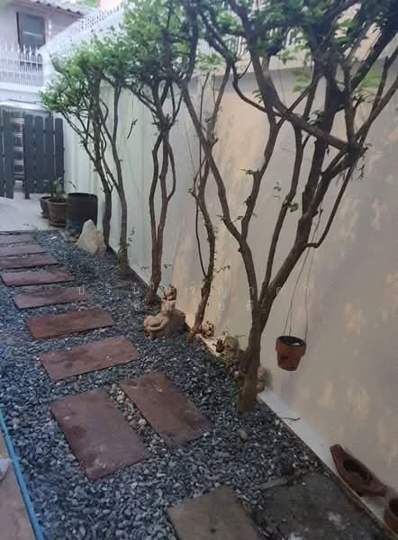 บ้านเดี่ยว รัชดา, กรุงเทพ, จันทรเกษม, จตุจักร, กรุงเทพ, 300 ตร.ม., บ้านเดี่ยว ให้เช่า, โดย ปรินทร์ญาดา ชิณโชติ, 60045496 - DDproperty.com