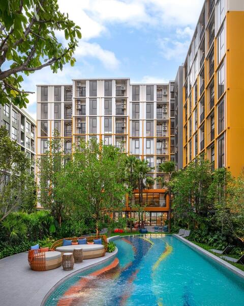 The Base Rise, Phuket, Wichit, Muang Phuket, Phuket, 1 Bedroom, 30 sqm, Condo For Rent, by PK LIFE Property, 60045573 - DDproperty.com