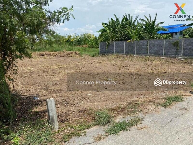 ขาย - ที่ดินเปล่า ถนน บางม่วง - บางคูลัด land Bang Muang - Bang Khu Lat Road, นนทบุรี