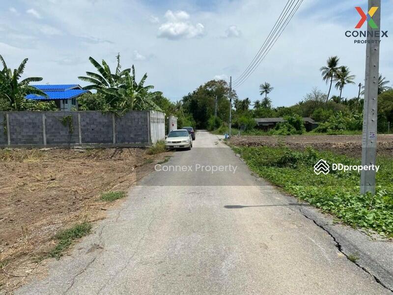 ขาย - ที่ดินเปล่า ถนน บางม่วง - บางคูลัด land Bang Muang - Bang Khu Lat Road, นนทบุรี