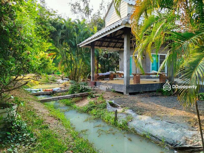 For Sale - House for sale 4 bed 4 bath , price 9.8 mb. doisaket chiangmai, Chiang Mai