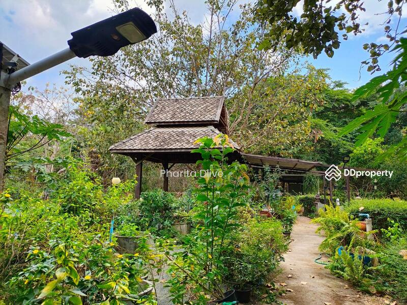 For Sale - House for sale 4 bed 4 bath , price 9.8 mb. doisaket chiangmai, Chiang Mai