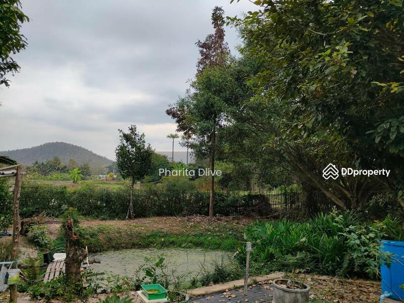 For Sale - House for sale 4 bed 4 bath , price 9.8 mb. doisaket chiangmai, Chiang Mai