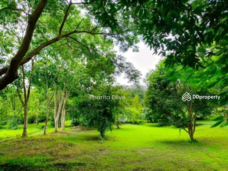 For Sale - House for sale 4 bed 4 bath , price 9.8 mb. doisaket chiangmai, Chiang Mai