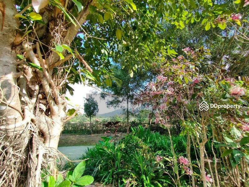 For Sale - House for sale 4 bed 4 bath , price 9.8 mb. doisaket chiangmai, Chiang Mai
