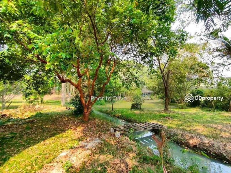 For Sale - House for sale 4 bed 4 bath , price 9.8 mb. doisaket chiangmai, Chiang Mai