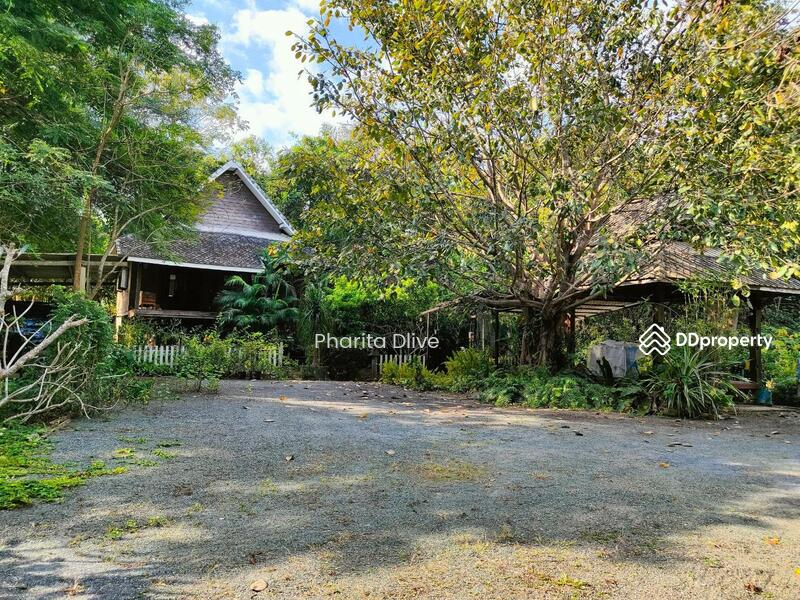 For Sale - House for sale 4 bed 4 bath , price 9.8 mb. doisaket chiangmai, Chiang Mai