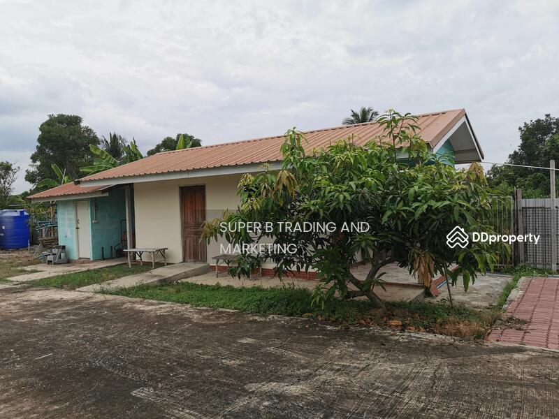 For Sale - For sale: Single house, 1 rai, 2 ngan, Lam Luk Ka, Khlong 11, Pathum Thani, Pathum Thani
