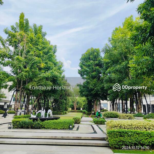 For Rent - Baan Klang Muang Classe Ratchayothin, Bangkok