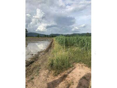 ขาย - ที่ดินพรหมพิราม พิษณุโลก, พิษณุโลก