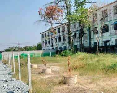 ขาย - ที่ดินท่าทราย สมุทรสาคร, สมุทรสาคร