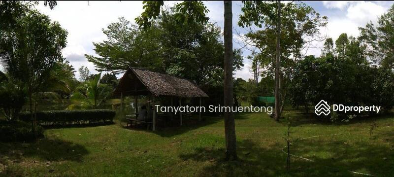 ขาย - ที่ดิน, สระแก้ว