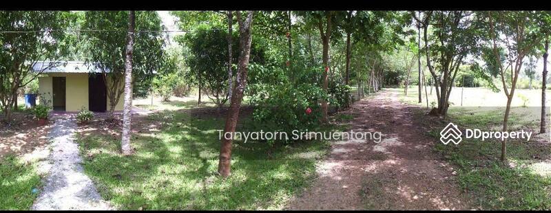 ขาย - ที่ดิน, สระแก้ว