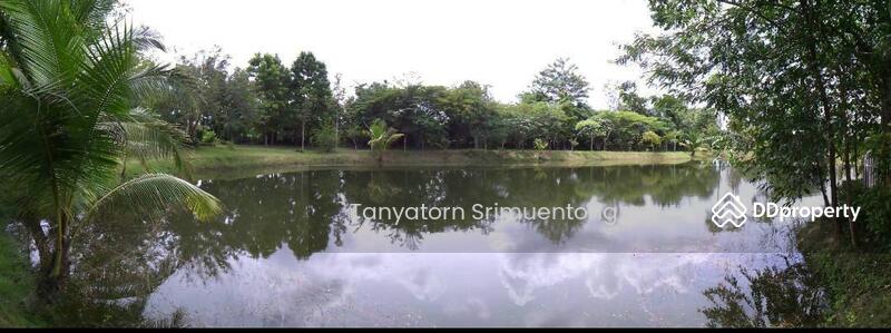 ขาย - ที่ดิน, สระแก้ว