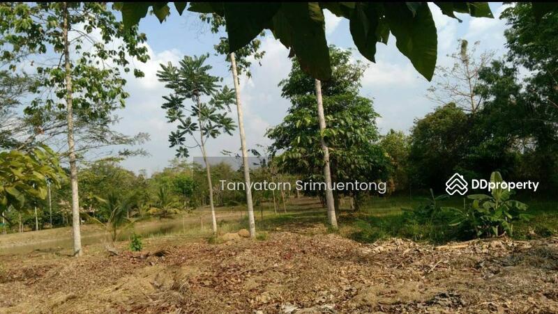 ขาย - ที่ดิน, สระแก้ว