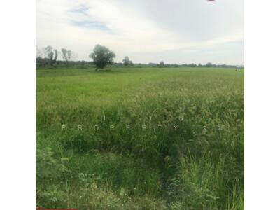 ขาย - ที่ดินพนัสนิคม ชลบุรี, ชลบุรี