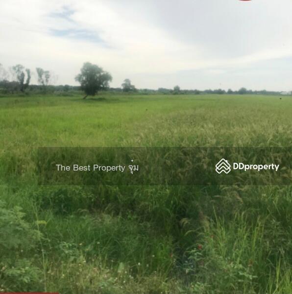 ขาย - ที่ดินพนัสนิคม ชลบุรี, ชลบุรี