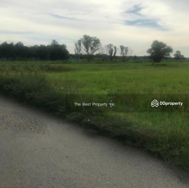 ขาย - ที่ดินพนัสนิคม ชลบุรี, ชลบุรี
