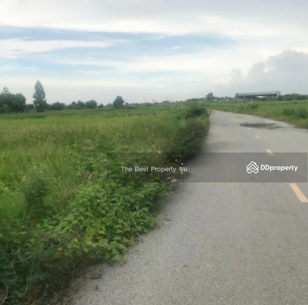 ขาย - ที่ดินพนัสนิคม ชลบุรี, ชลบุรี